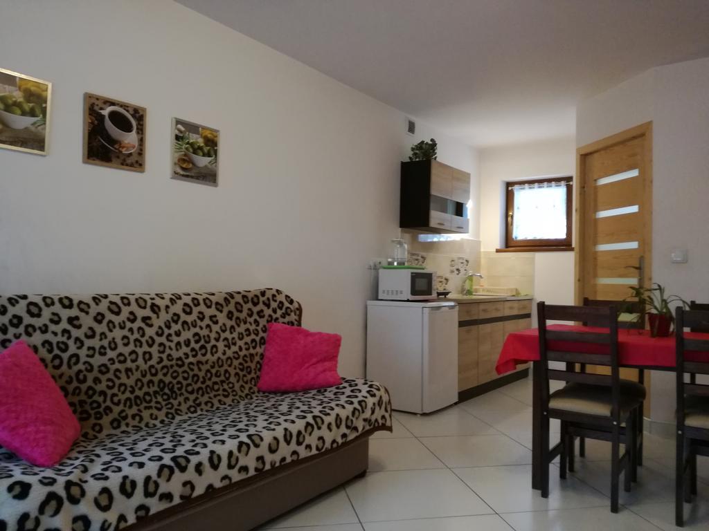 Apartamenty U Samkow Zakopane Extérieur photo